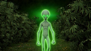 发光外星人