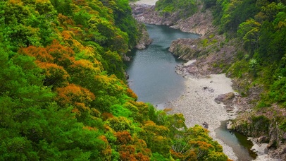 秋林山水