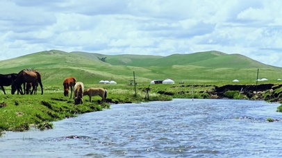 4k北方春天的美丽草原及骏马