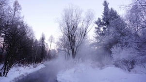 森林雪景