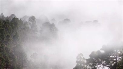 【水墨风】无滤镜迷雾山野