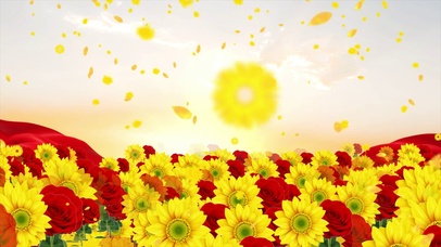 向日葵与玫瑰，热烈而真诚