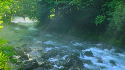 森林川雾河流