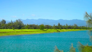 高山绿草河流