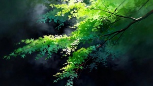 翠枝流光