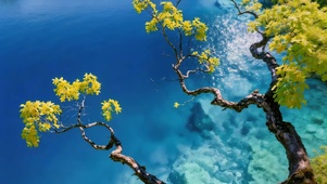 静谧蓝色水面