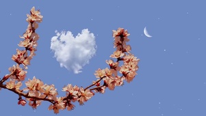 梅花