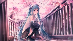 【清晨】初音未来 樱之雨