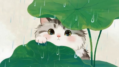 雨天荷叶下猫咪