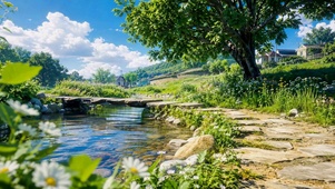 治愈夏日乡村溪流风景