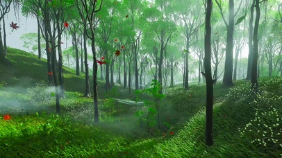 风吹落叶绿树林