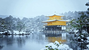雪景如画4K