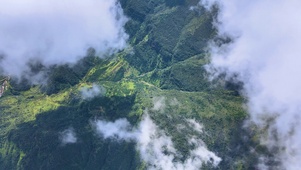 青山白云