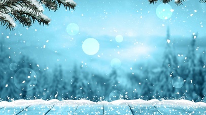 雪景