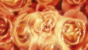 爱 浪漫的 花