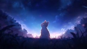 看星星的猫咪