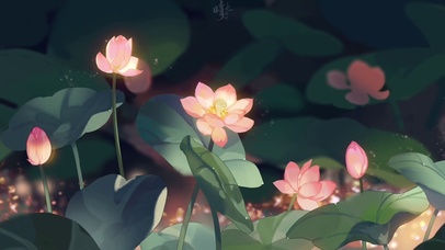 《红楼梦》芳菲尽：莲池（二）