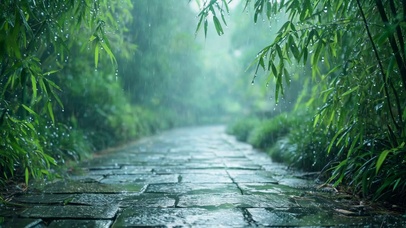 雨天竹林清幽治愈风景