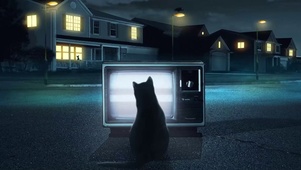 诡异夜晚黑猫