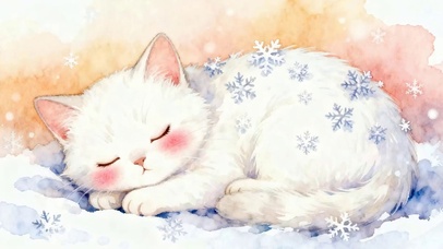 睡着猫咪