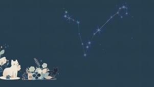 观星