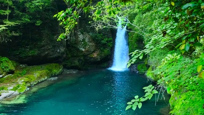 护眼绿叶瀑布水潭