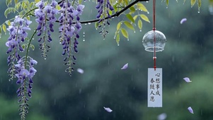 雨天树木