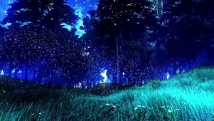 夜晚森林草地
