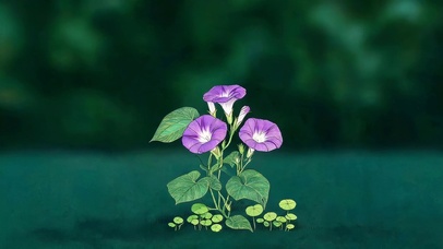 小清新喇叭花