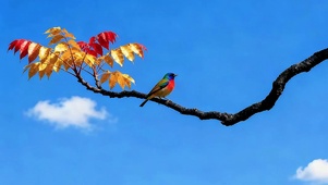 小鸟在枝头跳跃