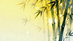 小清新竹林