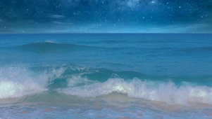 海边的浪花
