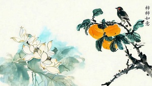 柿柿如意 治愈
