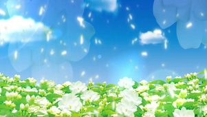 茉莉花