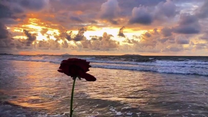 别不开心，请你看海~