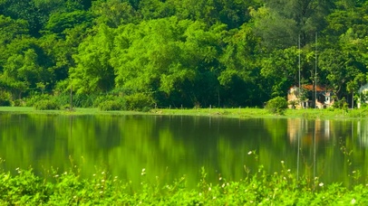 护眼青山湖边小屋