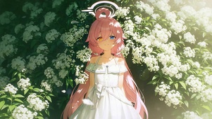 花海星野