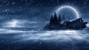 极地雪夜鹿