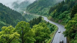 雾绕青山道