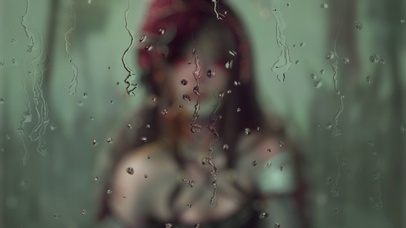 人面不知何处去