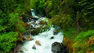 山涧河流