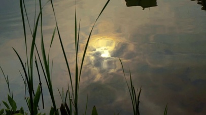 4K夜晚水中倒影的月亮