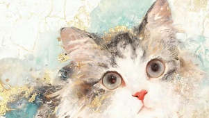 可爱猫咪