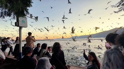 你失约的海，我替你看了~