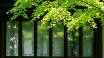 治愈系绿色窗景