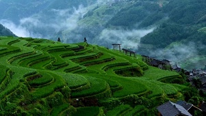 清晨