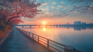 落日城市樱花河畔