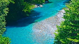 夏日清澈溪流