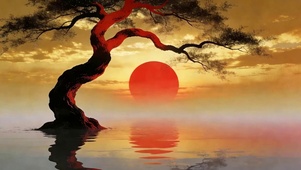 夕阳老树