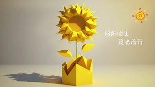 向阳而生
